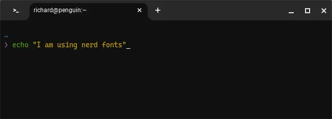 screenshot of chrome os terminal using nerd fonts